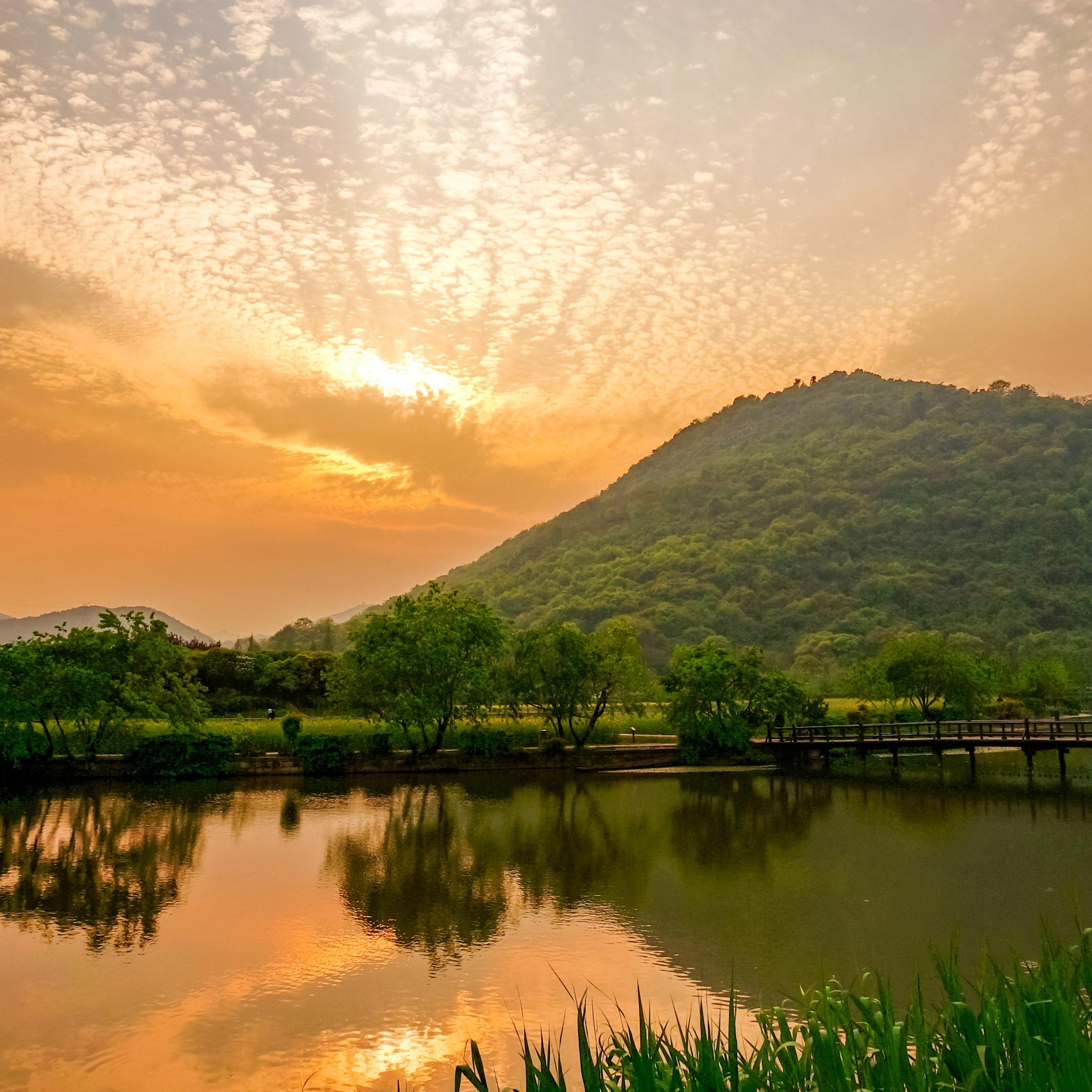 lake-with-trees-scaled